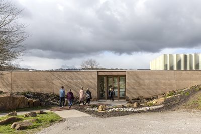 Reflections on Concrete Elegance - Texture & Context